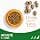 IAMS Advanced Nutrition for Large Breed Adult Dogs 1 Year + – 100% Complete & Balanced Lamb Dry Food – Wheat Free – Non-GMO Artificial Flavour Colours – Resealable Bag 12 kg - Image 3