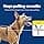 PetSafe 3 in 1 Harness with Two-Point Control Lead - Anti-Pull Harness - S - Black - Adjustable - Image 4
