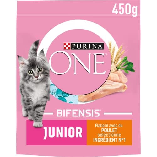 PURINA ONE | Junior Benefits | Kitten up to 12 months and Gestation Cats | Dry Food | Helps the healthy development of the vital functions of the Cat | Chicken | Bag | 450 g - Image 2