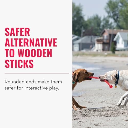 KONG - SafeStix - Sturdy and Flexible Fetch Toy with Safe, Durable Material - For Small Dogs - Image 4