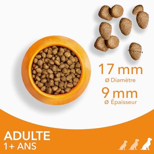 IAMS Vitality - Large Breed Dry for Adult Dogs - Promotes Health and Vitality - Low in Fat - Fresh Chicken - Free from GMOs, Colouring, Artificial Flavouring, Wheat - Multi-Coloured - 12 kg - Image 5