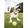 PetSafe - Escape Proof Fence System with Wire for Dogs over 3.6 kg - 4 Levels of Stimulation - All Types of Garden (up to 0.13 Hectares) - Waterproof - Easy to Install - Image 4