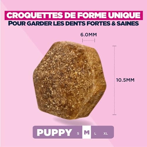 EUKANUBA Life Care Medium Breed Puppy Food 1 to 12 Months, Rich in Fresh Chicken, Optimal Growth - DHA, Calcium, Omega 3&6, FOS Prebiotics, No Dyes, Artificial Flavours or GMOs - 15kg - Image 6