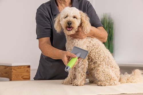 Wahl Bristle Brush Medium for Medium Dogs - Image 4