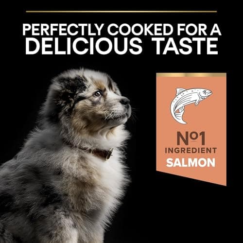 PURINA PRO PLAN | Sensitive Skin | Complete Dry Food for Medium Puppies | Promotes Healthy Skin and Shiny Coat | Salmon | Dry Food | Bag | 3 kg - Image 8