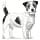 Royal Canin Pill Assist Small Dog | 90 g | Malleable Dry Food for Medication Administration to Adult Dogs of Small Breeds Under 10 kg | To Boost Appetite - Image 5