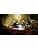 Ori And The Will Of The Wisps - Collector's Edition - Image 5