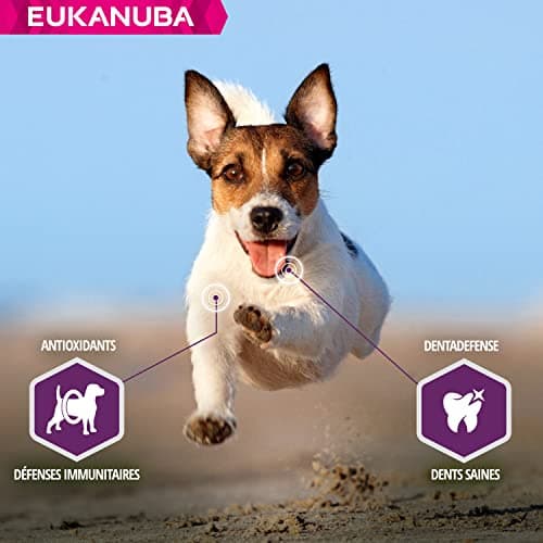 Eukanuba - DailyCare Sensitive Skin - 12 kg - Image 7