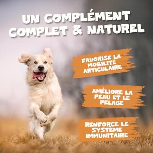 Pets Purest Salmon Oil for Dogs and Cats 1000ml - Pure Norwegian Salmon Oil with Omega 3-6-9 and Vitamin E - Supports Skin, Coat, Joints and Immune System - Image 5