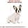 Royal Canin - French Bulldog Puppy, 3 kg - Image 6
