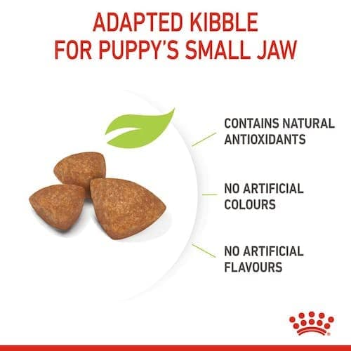 Royal Canin X-SMALL Puppy | 500 g | Kibble for Very Small Breeds | May Contribute to Normal Immune System Function | With Omega-3 - Image 7