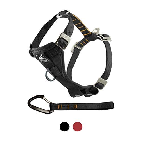 Kurgo Tru-Fit Dog Harness, Shock Tested Front D-Ring for No-Pull Training, Car Seat Belt Included, Black, XS - Image 4