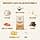 ivvi Skin & Coat Essence for Cats – Lick Cream with Salmon Oil, Algae Oil, Zinc & Collagen – Skin and Coat Support – 30x15g – Real Tuna - Image 4