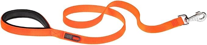 Ferplast Daytona Nylon Dog Lead for Small Dogs, 120 cm with Comfortable Padded Handle and Metal Carabiner, Orange - Image 1
