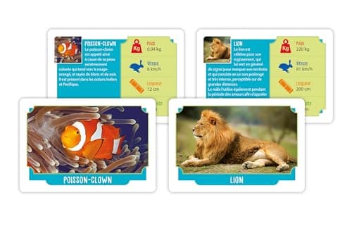 Clementoni | Incredible Animals | Educational Card Game 6+ | 50 Illustrated Cards | 6 Game Modes | Observation, Reflexes, Memory | Compact Size | Children's Board Game - Image 3