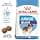 Royal Canin 31 Dog Giant/Junior Food, 3.5 kg - Image 3