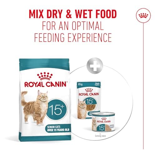 ROYAL CANIN AGEING 15+ | 2kg | Dry Food for Senior Cats from 15 Years | Formula with HealthyAge7 Complex | Contains Easy Chewable Kibble - Image 6