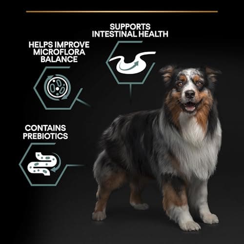 PURINA PRO PLAN | Sensitive Digestion | Complete Dry Food for Medium Adult Dogs | Promotes a Healthy Digestive System | Rich in Lamb | Dry Food | 14 kg Bag - Image 7