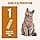 ivvi Skin & Coat Essence for Cats – Lick Cream with Salmon Oil, Algae Oil, Zinc & Collagen – Skin and Coat Support – 30x15g – Real Tuna - Image 7