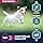 Eukanuba Adult Dog Dry Food For Small and Medium Breed Lamb&Rice 2.5kg - Image 5