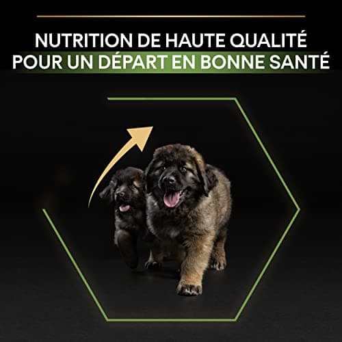 PURINA PRO PLAN | Healthy Start | Large Puppy Food | Heavy Duty Morphotype | Strengthens Puppy's Natural Defences | Rich in Chicken | 12 kg Bag - Image 8