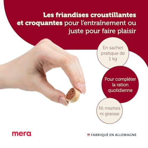 MERA Bakery Snacky Mix - Mélange de Friandises pour Chien - pour Entraînement ou Collation - Ingrédients Naturels - Biscuits Délicatement Cuits au Four (1 kg) - Image 3