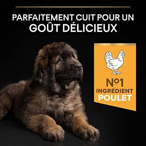 PURINA PRO PLAN | Healthy Start | Large Puppy Food | Heavy Duty Morphotype | Strengthens Puppy's Natural Defences | Rich in Chicken | 12 kg Bag - Image 6