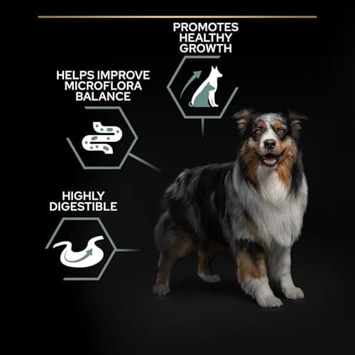 PURINA PRO PLAN | Sensitive Digestion | Whole Grain Free Dry Food for Adult Large and Medium Dogs with Sensitive Digestion | Promotes a Healthy Digestion | Turkey | Bag | 12 kg - Image 5