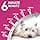 FRONTLINE TRI-ACT Dog L for Ticks, Fleas and Mosquitoes (Large Dogs 20-40kg) - 6 Pipettes for Up to 6 Months Protection - Waterproof - Perfect for Travel - Image 7