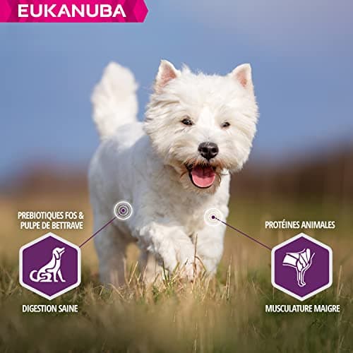 Eukanuba - DailyCare Sensitive Skin - 12 kg - Image 6