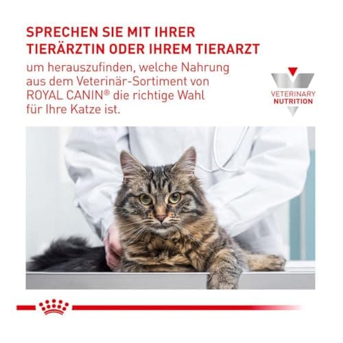 Royal Canin Expert Neutered Satiety Balance | 3.5 kg | Dry Food for Castrated Cats Up to 7 Years | Balanced Nutrient Content | Ideal Weight Maintenance - Image 5