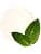 BIOLAGE - Shampooing Anti-Pelliculaire, Scalp Sync, 250 ml - Image 3