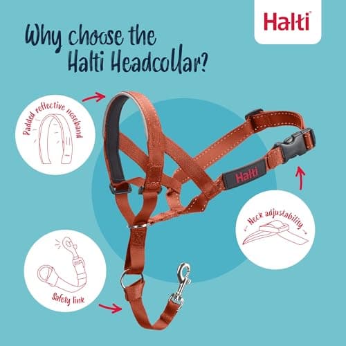 Halti Halter – To Stop Pulling On His Leash, Fully Padded On The Snout, Anti-Pull Collars for Medium Dogs (Size 2, Burnt Orange) - Image 5