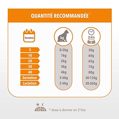 IAMS Advanced Nutrition Premium Kitten Dry Food - Healthy Whole Flavours - Promotes Growth - Fresh Chicken - Non-GMO Artificial Flavour Colours - Resealable Bag of 1.5 kg - Image 8