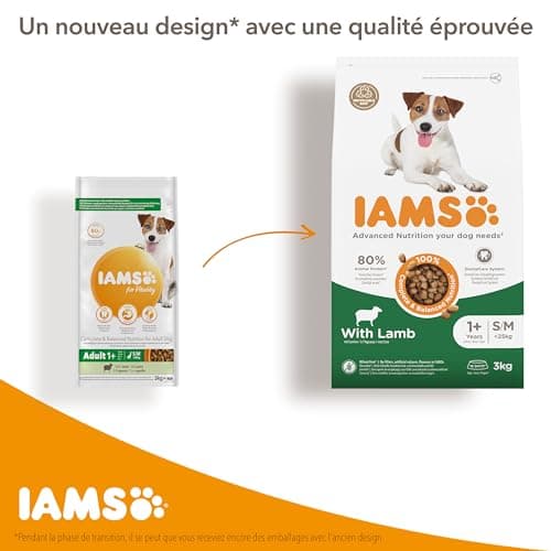 IAMS Advanced Nutrition for Adult Dogs Small and Medium Breeds 1 Year + – 100% Complete & Balanced Lamb Food – Wheat Free – Non-GMO Artificial Flavour Colours – Resealable Bag 3 kg - Image 4