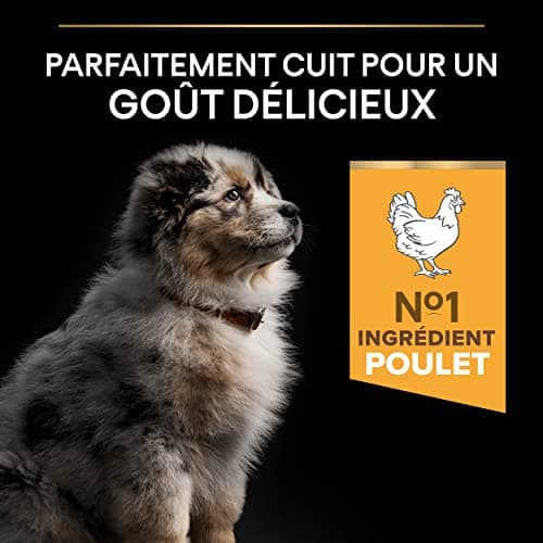 PURINA PRO PLAN | Healthy Start | Medium Puppy Food | Strengthens Puppy's Natural Defences | Rich in Chicken | 12 kg Bag - Image 6