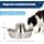 PetSafe Easy Walk Harness with No-Pull Buckle and 6ft Lead, Comfortable Walk for You and Him - 4 Adjustment Points - Durable, Easy to Put on and Take Off - Black, Small - Image 7