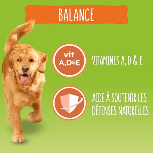 FRISKIES | Balance | Chien | Croquettes pour Chiens Adultes | au Poulet, au Boeuf et Légumes ajoutés | Source de protéines de Haute qualité | Sac | 12 KG - Image 7