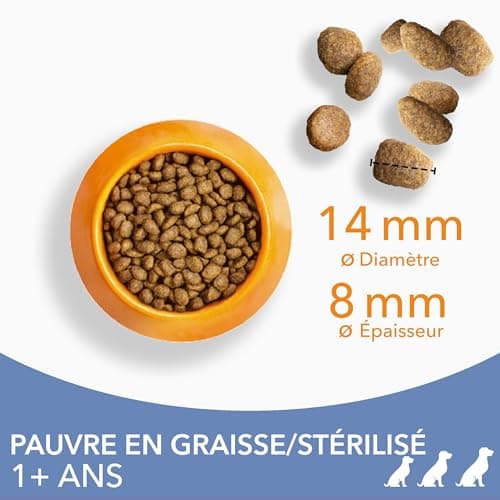 Iams Vitality Lightweight Dry Food for Adult Dogs Small and Medium Breed - Promotes Health and Vitality - Very Low In Fat - Fresh Chicken - Free: GMO, Colour, Artificial Flavour, Wheat - 12 kg - Image 4