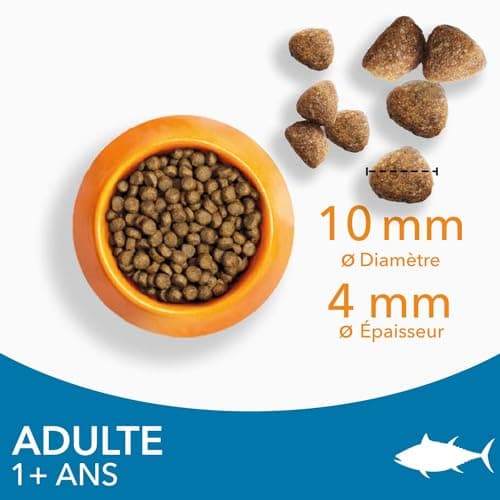 IAMS Advanced Nutrition - Croquettes Premium Chats Adultes - 100% Complètes et Equilibrées - Au thon - Sans OGM Colorants Arômes Artificiels - Sac refermable 3 kg - Image 6