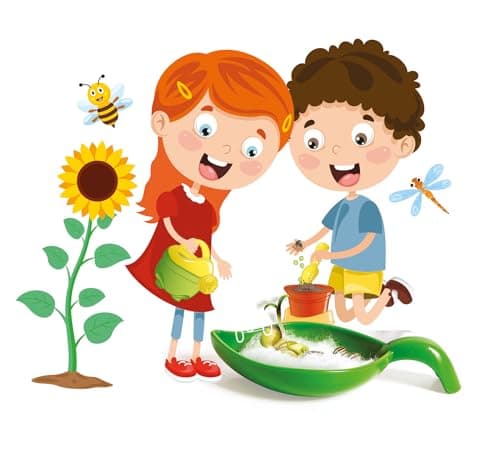 Clementoni Science & Jeu Lab - Botanical Apprentices, Science Game for Children 5+ Years, Plant Kit to Grow in Botanical Garden, Made in Italy, Italian Language, 19381 - Image 6