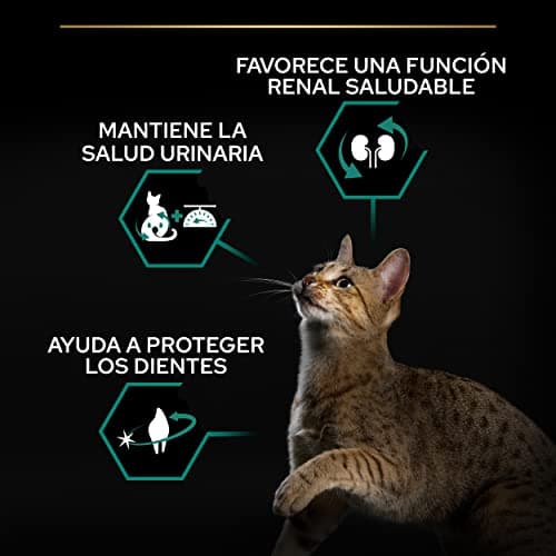 PURINA PRO PLAN | Renal Plus | Cat | Complete Dry Food for Sterilized Adult Cats | Helps maintain healthy kidney function and urinary system | Turkey | Bag | 1.5 kg - Image 6