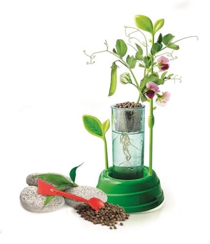 Clementoni | Science & Play – Botany and Hydroponics for Children 8+ | Soillless Gardening Kit with Transparent Pot, Seeds and Tools | Educational Botanical Experience | STEM Nature Activity - Image 3