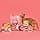 Lily's Kitchen Smooth Kitten Pate Chicken + Beef (19 x 85g) - Image 7