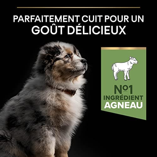 PURINA PRO PLAN | Sensitive Digestion | Complete Dry Food for Medium Puppies | Promotes a Healthy Digestive System | Rich in Lamb | Dry Food | 3 kg Bag - Image 5