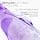 L'ORÉAL PARIS - Re-hydrating Detangler for Dehydrated and Tired Hair - 72H Hydration - Shine - Flexibility - With Hyaluronic Acid - Elseve Hyaluron Repulp - 250 ml - Image 7