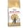 ROYAL CANIN British Shorthair Adult | 400 g | Dry food specially designed for British Shorthair Adult Cats | From 12 Months - Image 2