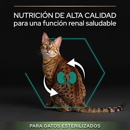 PURINA PRO PLAN | Renal Plus | Cat | Complete Dry Food for Sterilized Adult Cats | Helps maintain healthy kidney function and urinary system | Turkey | Bag | 1.5 kg - Image 5