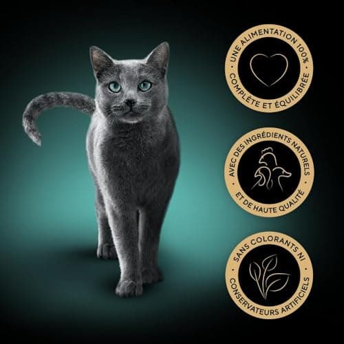 SHEBA Mini Fillets – Fresh Sauce, Poultry Selection for Adult Cats – 40 x 85 g - Image 4