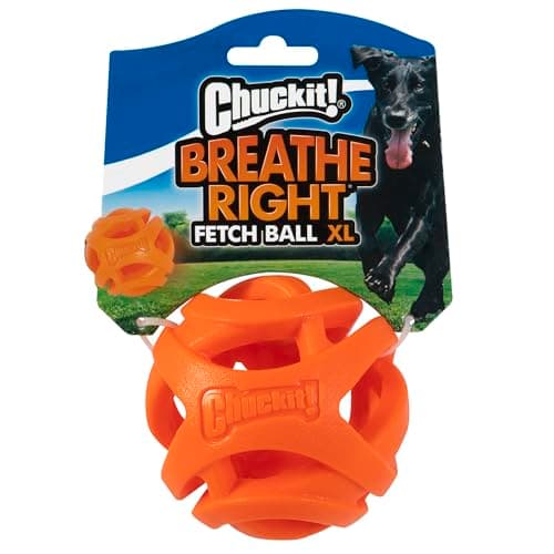 Chuckit Breathe Right Fetch Chasing Ball for Dogs Size XL - Image 3